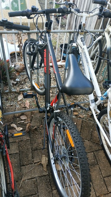 66cm tourex bike